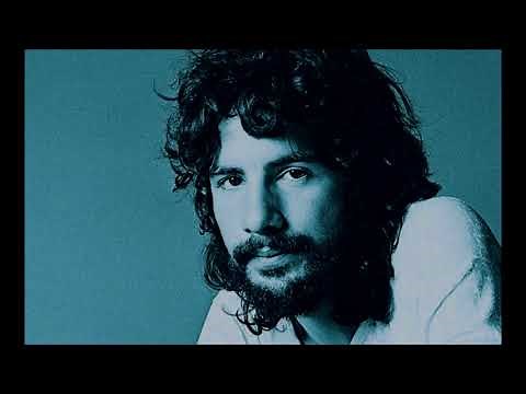 Matthew & Son CAT STEVENS (with lyrics)