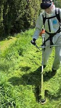 Brushcutter Stihl FS 261 + Stihl CF3 Pro cutting line Mowing grass Start up #garden #grass #mowing