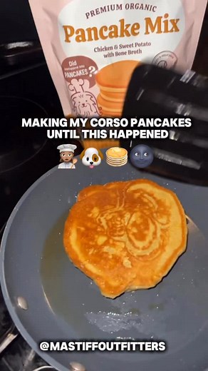 I don’t know guys 🌚 the way the crisp formed had us thinking about a bite or two lol😅😂 that’s how I know, I’ve still got it😌👩🏽‍🍳 -ChefSammie with the pot🥘 💬Like, Comment & Share fur more 📦 Shop MastiffOutfitters.com 🐾 Follow & tag @MastiffOutfitters to be ft. 🐾 🐾 🐾 #mastiffoutfitters #doggo #canecorso #pitbull #mastiff #dogfood #dogfoodie #canecorsolife #dogmom | Mastiff Outfitters