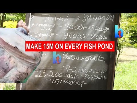 FISH FARMING IN UGANDA: CALCULATE YOUR PROFIT MARGIN ON FISH