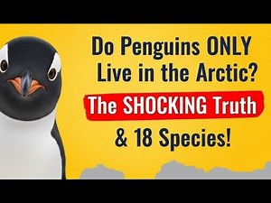 Do Penguins ONLY Live in the Arctic? The SHOCKING Truth & 18 Species!