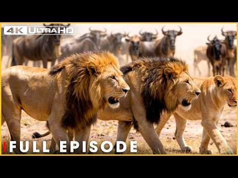 PRIMAL INSTINCT - Only the Strongest Endure (Full Episode) | Nature Animal Documentary