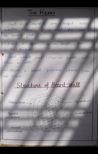 Assignment on Cardiovascular System #bscnursing #handwrittennotes