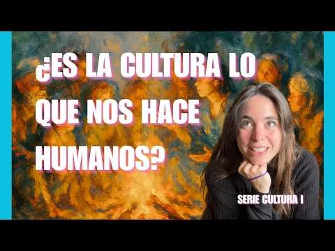What is culture? A multidisciplinary journey to the essence of humanity