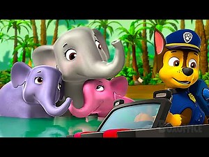 ¡PAW Patrol y los animales más tiernos! | ¡Momentos inolvidables! 🌀 4K