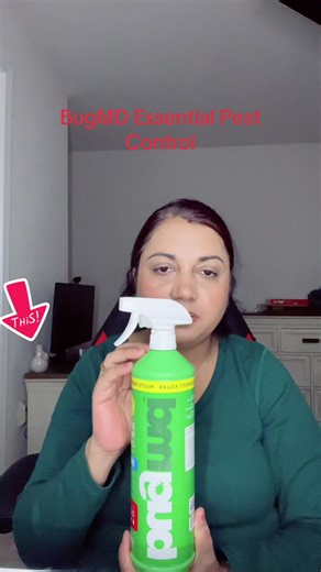 Effective Ant, Roach, and Spider Killer Solutions