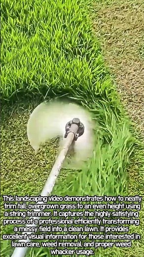 Weed Whacker Lawn Mowing #worker #process #mowing #lawncare #satisfying
