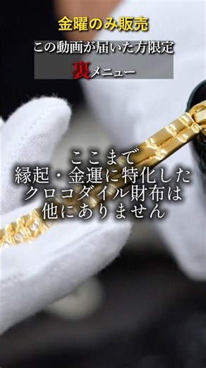 金曜限定！金運最強オール黄金パイソン内装財布！ #池田工芸 #クロコダイル #金運