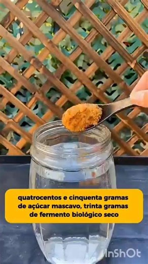 O MELHOR ENRAIZADOR CASEIRO SEM GASTAR DINHEIRO.