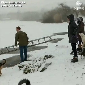 17K views · 119 reactions | Woman rescues dog that fell into icy lake: | KATU News | Facebook