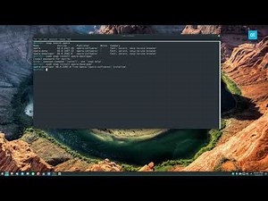 How to install the Opera Developer edition browser on Linux