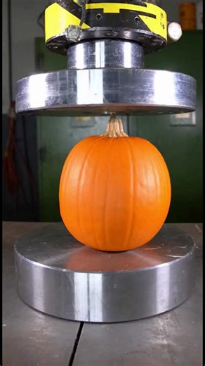 Watch a Pumpkin Meet a Hydraulic Press! See what happens when a pumpkin faces a hydraulic press. Crushing results! #fblifestyle #AI Generated using Kling AI . . . (For entertainment purposes only. Consult professionals if guidance on activities is presented. No brand affiliation is implied if any are shown. If inspired by true events, creative adaptations may be included. Content may include public footage.) | Fabiosa Hearty