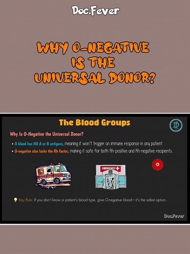 O-Negative: The Universal Blood Donor Explained