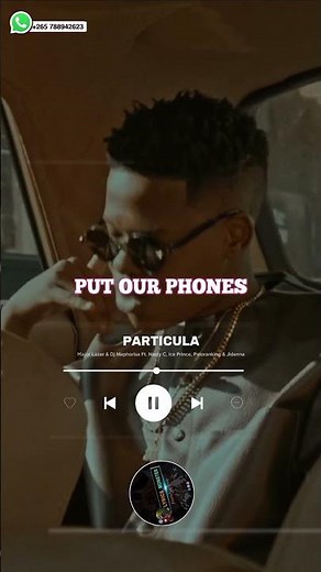 Particula - Major Lazer & Dj Maphorisa Ft. Nasty C, Ice Prince, Patoranking & Jidenna (Lyrics Video)