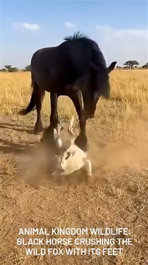 GOAT_OG_ATTITUDE on Instagram: "Japan turns footsteps into electricity: how it’s done Japan, globally recognized for its leadership in technological innovation, is once again setting trends with the implementation of piezoelectric floors in public spaces. This technology allows transforming footsteps into electricity, turning the daily pedestrian traffic into a source of clean and renewable energy. The system is based on the principle of piezoelectricity, discovered in the 19th century by brothe
