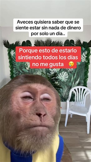 Eso no me gusta #Meme #MemeCut | memecut