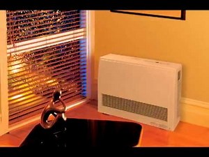 The Rinnai Direct Vent Furnace