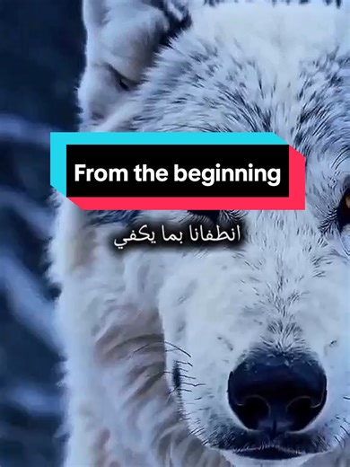 The Beauty of Absence and Reflection