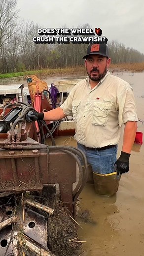 You asked so we answered!!! We had a lot of people asking if these cleated crawfish boat wheels crushed the crawfish at the bottom of our man-made ponds 🦞🐊 There may be a few casualties here and there but overall this wheel will rarely come in contact with the crawfish. The cleated wheel, mushy bottom, boat vibration and weight of the wherel of the pond all come into play here. We love getting questions from you guys! We’ll do our best to get to all of them! #crawfish #crawfishboat #crawfishfa