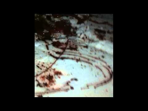 Possible Werewolf Attack-Found Footage