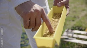 BEEKEEPING - A pollen trap used in beehives in an apiary, slow motion close up