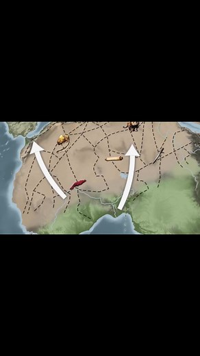 How did the Trans-Saharan Trade Route Actually Work_