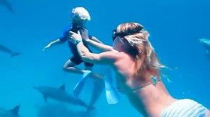 What a unique experience! 🐬👶❤️ The youngest freediver with her mom swimming in wild with dolphins at Satayah Dolphin Reef. 📍 Wadi Lahami Village, Red Sea, Egypt 📷 Khaled Said 🌐 www.redsea-divingsafari.com #dolphins #dolphinswimming #dolphinlove #babygirl #freedive #freedivers #freediverlife #snorkel #snorkeling #underwaterworld #underwatervideo #marsaalam #redsea #swimming #babyswim | Red Sea Diving Safari