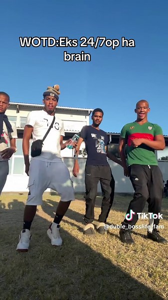 Unlocking the Secrets of Brain Functionality