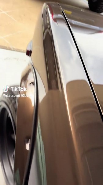 Effective Tips for Removing Ticks: A Mechanic's Guide