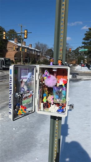 The little box is so bright you can barely see it! #snowdays #sunshine #rva #diy #littlefreelibrary
