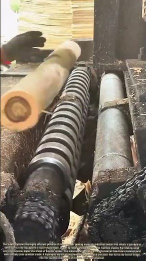 Unrolling the Log: The High-Speed Mechanics of Rotary Veneer Peeling