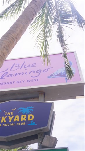 Score big in The Backyard 🍹🎯 Mini golf, ping pong, and poolside cocktails. Welcome to the ultimate adult playground under the Key West sun. | Blue Flamingo Resort Key West