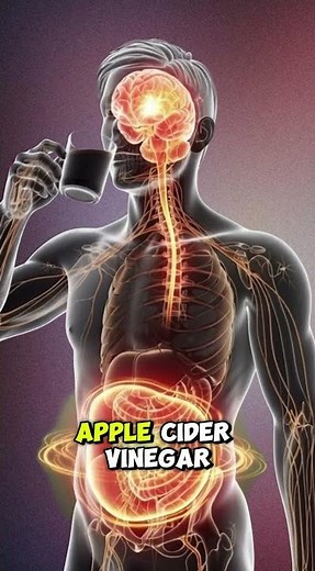 5 Best Drinks to Lose Weight Naturally | 5 Weight Loss Drinks | Best Fat Burning Drinks #facts