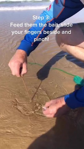 How to catch beach worms! It’s harder then it looks, don’t let it flop! #tutorial #howto #worms #fyp #dontletthisflop #bait