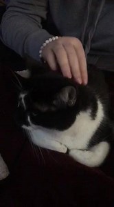 73 reactions | Rufus update!! Rufus is proof that it pays to keep...