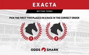 Exacta Betting Explained - How To Bet Exacta In Horse Racing
