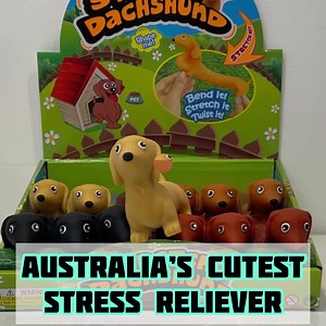 81K views · 850 reactions | Australia’s cutest sensory toy just got better!  Squish and Stretch your way to relaxation. Strong and Durable. Next day shipping!  Limited Stock ⏰ Afterpay  and Express shipping available Don’t miss out! | My Sensory Space Australia | Facebook