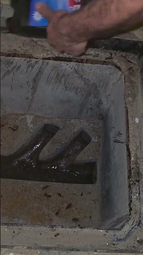 How to Clear Clogged Drains and Kill Roaches Instantly #roach #cleaning #shorts #satisfying #asmr
