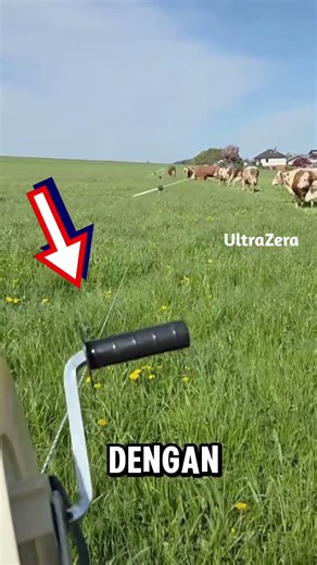 no need to mow the lawn