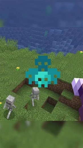 Minecraft Focus Enchant!