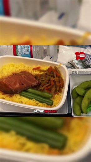 All Nippon Airlines vs Competitors What's the BEST Option for Comfort?