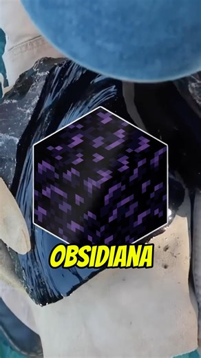 ESTE CHICÓ HIZÓ UN PORTAL CON OBSIDIANA… #shorts #video #videoshots #minecraft #historia #viral