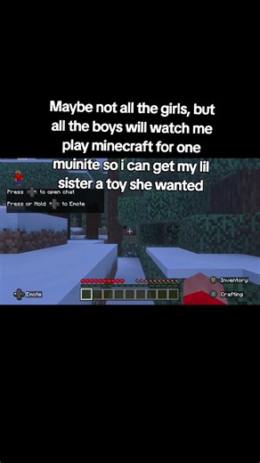 Boys Watching Minecraft for a Sister's Toy