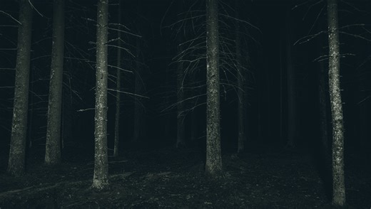 The Dark Forest Hypothesis On Why We Haven't Met Aliens Has Humans Terrified