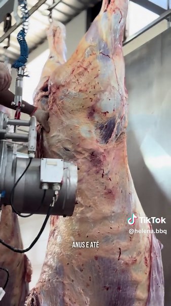 Entenda os processos de um frigorífico