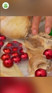 The Process of Creating Perfect Pearls!