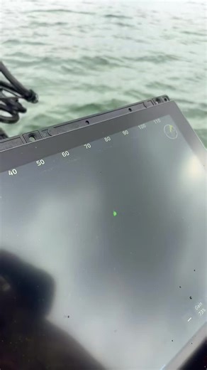 Effective Language Learning Strategies