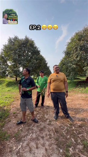 ทุเรียน1000ตัน: เคล็ดลับการดูแลและฉีดพ่น