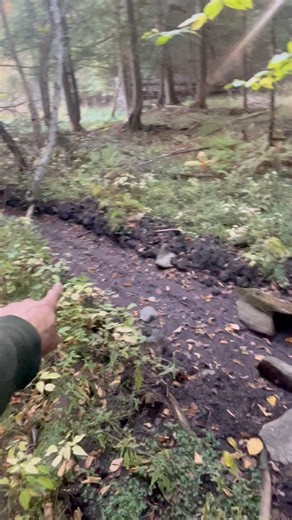 1.2K views · 11 reactions | Some busy beavers during a dry summer!!! #beaver #drystream #drysummer #logging #logginglife #backwoods #BeaverCounty #beavers #beaverdamremoval | Life in the valley | Facebook