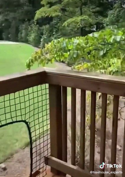 Treehouse Experts on TikTok